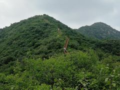 -大岭沟猕猴桃谷风景区