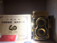 -胶囊画廊