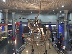 -国家自然博物馆