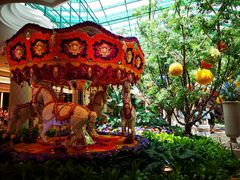 -拉斯维加斯永利酒店