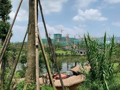 -枫香湖儿童公园