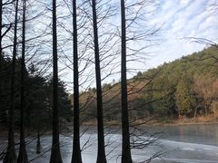 -四明山国家森林公园