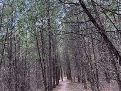 -北京鹫峰国家森林公园