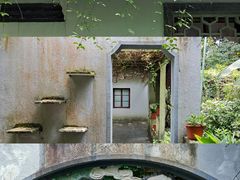 -杭州植物园