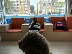 -美迦爱-牙专科·兔科·骨科诊疗中心(北苑店)