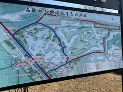 -盐城丹顶鹤湿地生态旅游区