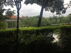 -大屏嶂森林公园