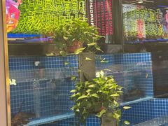 -涿派·炝锅鱼(涿州店)