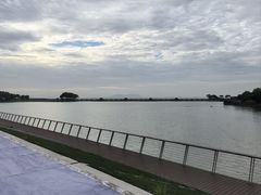 -贡湖湾湿地公园