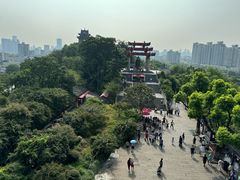 -黄鹤楼公园(黄鹤楼)