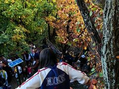 -吉林市朱雀山国家森林公园