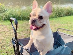 -蒲河岛湿地公园