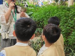 -中国福利会少年宫