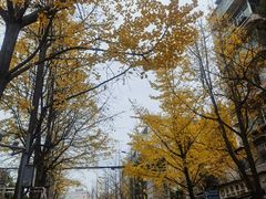 -六广门毛阿姨糯米饭