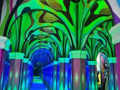 -梵高星空艺术馆(北京旗舰店)