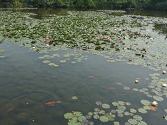 -白马涧龙池景区