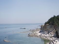-养马岛旅游度假区