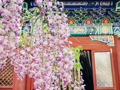 -北京国子监胡同