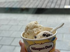 -半岛听涛蒸汽海鲜自助(K11店)