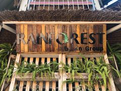 -Rainforest