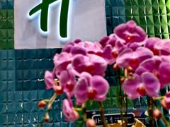 -上海浦东康桥绿地假日酒店