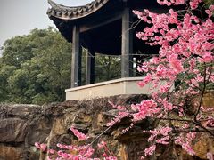 -无锡梅园公园