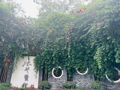 -四川大学博物馆