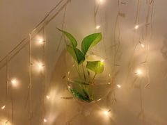 -宫七SPA·高端Massage(浦东大道店)