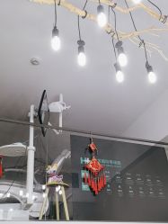 -黑奥秘脱发白发中心