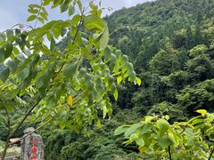 -贵阳桃源河景区