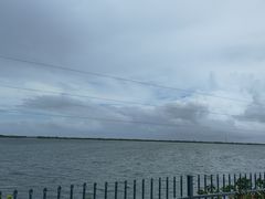 -江滩湿地公园