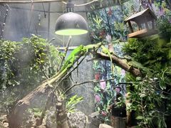 -上海大自然野生昆虫馆(东方明珠·爬宠昆虫探索中心)