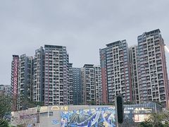 -坂田天虹