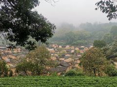 -杨家堂村
