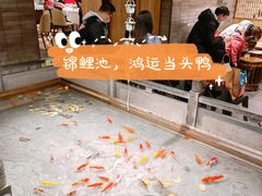 -四季民福烤鸭店(前门店)