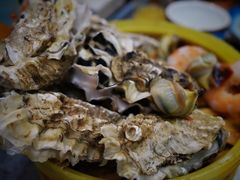 -渡海小渔村.老辈日照菜