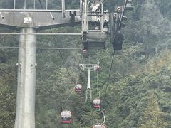 -青城山