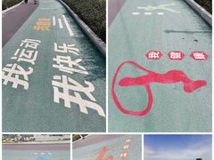 -王借岗森林公园