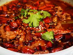 -雀蓝川菜(奥体广场店)