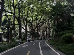 -采石矶景区