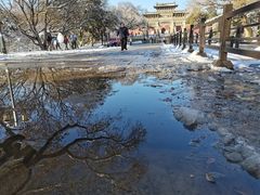 -北陵公园
