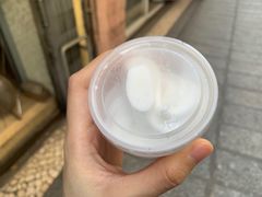 -洪馨椰子