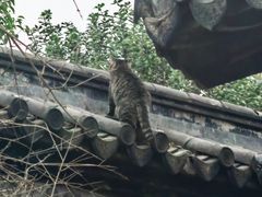 -常熟方塔园