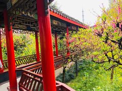 -南汇桃花村