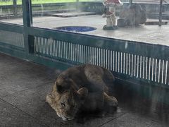 -秦皇岛野生动物园