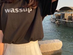 -海堤纪念公园