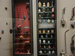 -美国自然历史博物馆