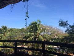 iphone_upload_pic-日军最后司令部遗址