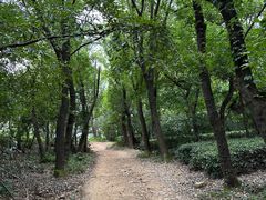 -虞山风景区