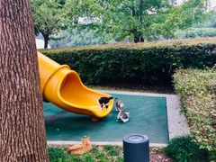 -苏州河梦清园环保主题公园